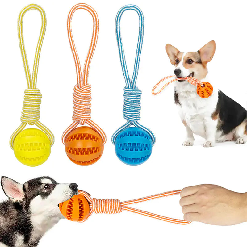 “Rope Edition” ChewyPupBall™