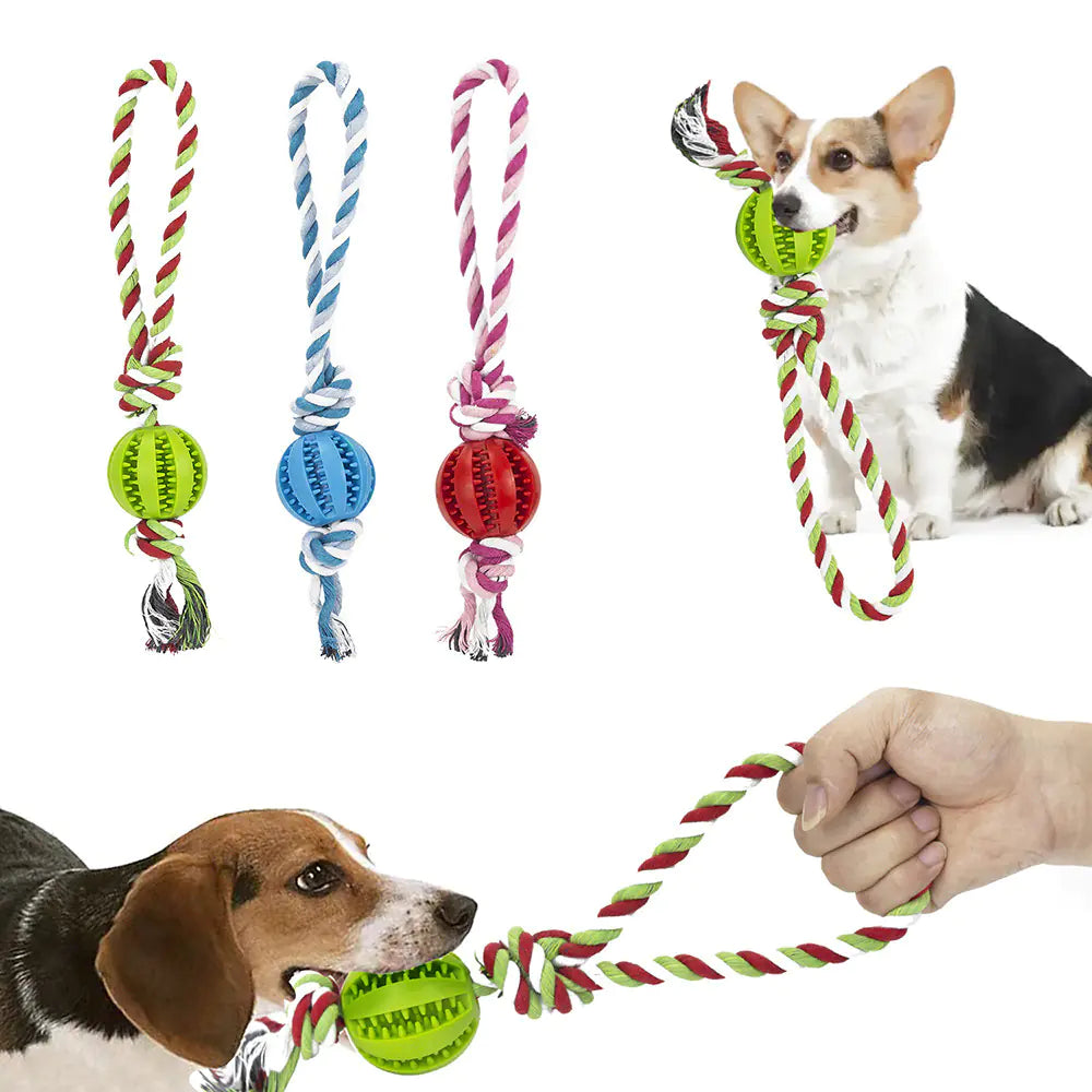 “Rope Edition” ChewyPupBall™