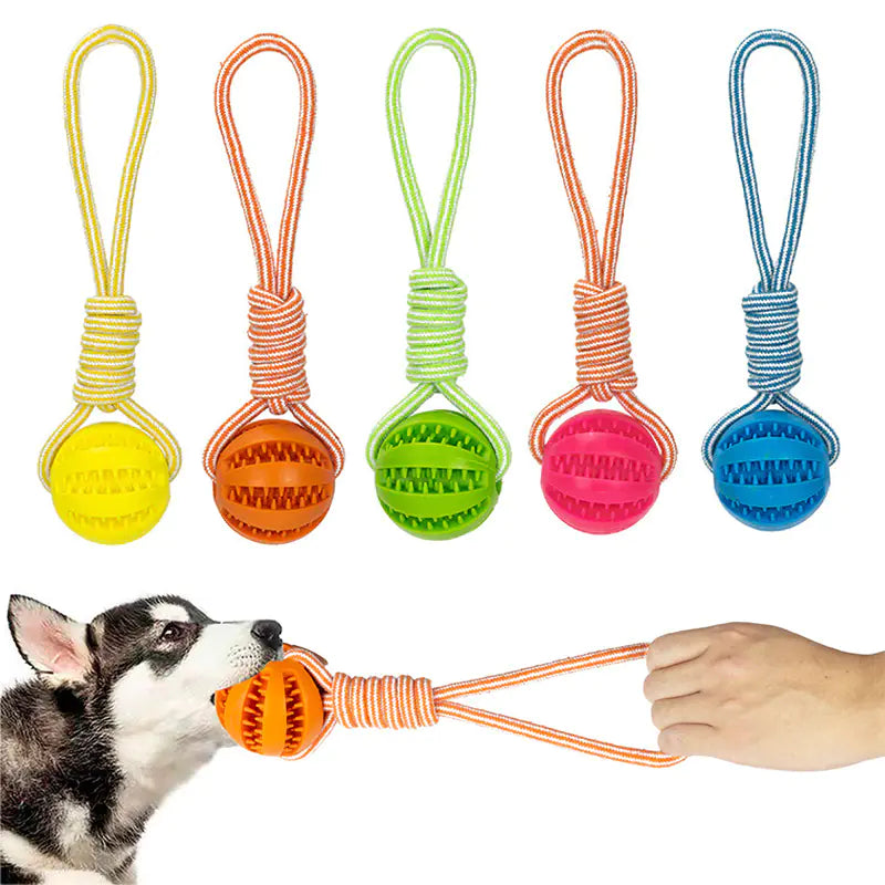 “Rope Edition” ChewyPupBall™